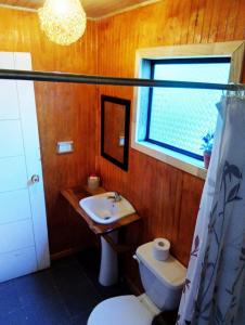梅利佩乌科Hostal Turismo Allipen的一间带水槽和卫生间的浴室以及窗户。