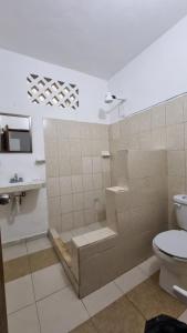 普拉亚卡门Casa Maria Fernanda的带淋浴、卫生间和盥洗盆的浴室