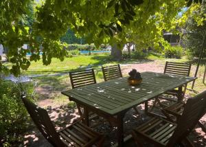 贝纳维德斯Casa Quinta Tigre Benavidez的绿野餐桌,树下摆放着四把椅子