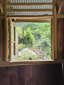 武吉拉旺back to nature ecotourism的享有庭院景致的窗户