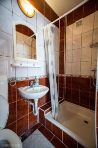伯伊莱图什纳德Pensiunea Viktoria的浴室配有盥洗盆和浴缸。