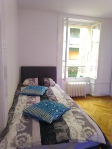日内瓦Charming flat center and near the lake的一间卧室配有两张带枕头的床和窗户。