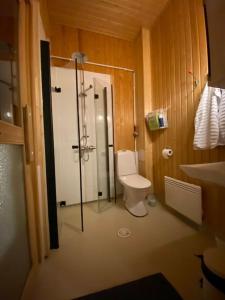 于韦斯屈莱Two bedroom cottage with peaceful views的带淋浴、卫生间和盥洗盆的浴室