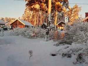 HammaröTrevligt gästhus nära Vänern och badplats的一座被雪覆盖的院子,里面种满了房子和树木