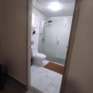 圣地亚哥洛斯卡巴Chez Coralie的一间带卫生间和淋浴的浴室。