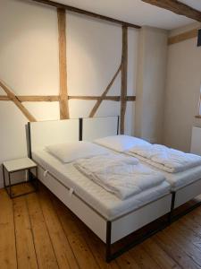 明斯特LemperDenkmal Münster的铺有木地板的客房内的一张大床
