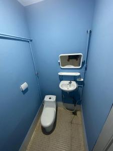 瓜隆岛Green Ocean Lodge的蓝色的浴室设有卫生间和水槽