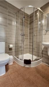 斯托尼拉斯奇Rezydencja Ostoja的带淋浴、卫生间和盥洗盆的浴室