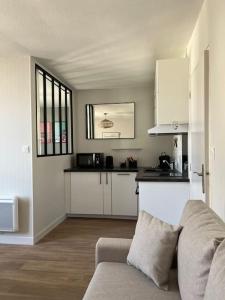 索米尔Appartement centre Saumur bord de Loire Les marronniers的带沙发的客厅和厨房