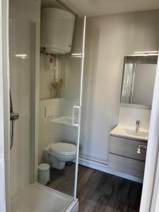 索米尔Appartement centre Saumur bord de Loire Les marronniers的一间带卫生间和水槽的小浴室