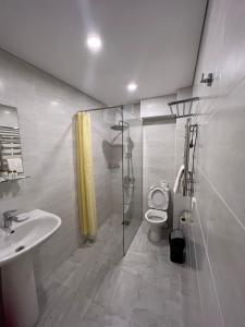 加格拉Hotel Cheluskintsev的带淋浴、卫生间和盥洗盆的浴室