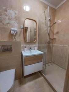 第聂伯罗Graff Hotel的浴室配有盥洗盆和带镜子的淋浴