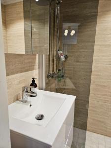 皮耶塔尔萨里Little Paris, 1 bedroom apartment的浴室设有白色水槽和镜子