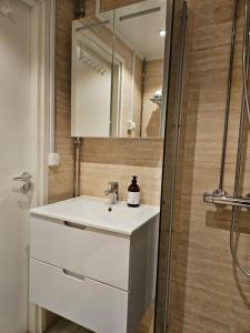 皮耶塔尔萨里Little Paris, 1 bedroom apartment的浴室设有白色水槽和镜子