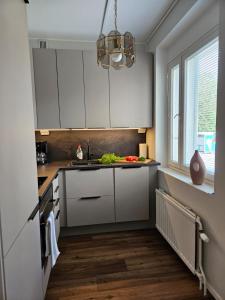 皮耶塔尔萨里Little Paris, 1 bedroom apartment的厨房配有白色橱柜和水槽
