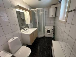 KorshamnNydelig ferieleilighet på bryggekanten的浴室配有卫生间、盥洗盆和洗衣机。