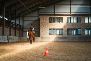 InčukalnsCaravans Camping in Young Riders School的骑马环绕着橙色锥体的人