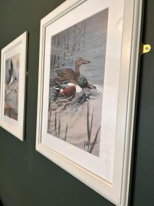 诺里奇The Lodge at Salhouse的墙上挂着两只鸭子的画作