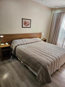 门多萨DAKAR HOTEL的一间卧室配有一张大床和木制床头板