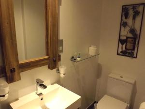 道格拉斯堡湖畔汽车旅馆的一间带水槽、卫生间和镜子的浴室