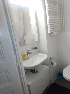 日内瓦Charming flat center and near the lake的白色的浴室设有水槽和镜子