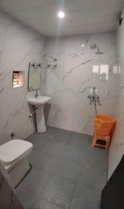 阿格拉Hotel Goyal Palace的一间带卫生间和水槽的浴室