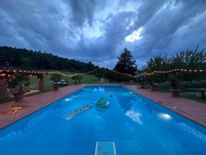 Rivoli VeroneseEco Farm - La Cavallina的大型蓝色游泳池配有圣诞灯