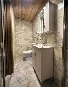 博兹贾阿达岛Le Petit Hotel ve Bağ Evi的一间带水槽和卫生间的浴室