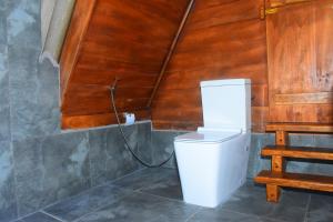 达瓦拉维Wild Lake Side的一间带卫生间和木墙的浴室