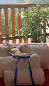 圣马蒂诺-迪卡斯特罗扎Excelsior Hotel Cimone LowCost的一堆毛巾坐在种植植物的阳台上