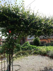 La casetta di Pio外面的花园