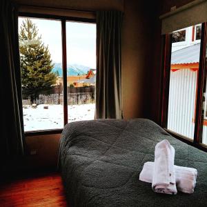 圣卡洛斯-德巴里洛切Tiny house Bariloche的一间卧室设有床铺和雪窗