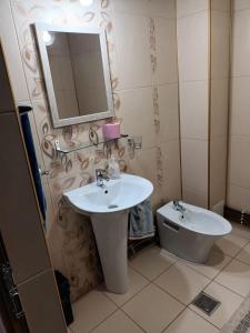 普洛耶什蒂Apartament 2 dormitoare的一间带水槽、镜子和卫生间的浴室