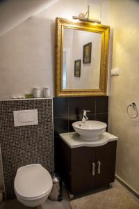 斯雷姆斯基卡尔洛夫奇Apartman Centar的一间带卫生间、水槽和镜子的浴室