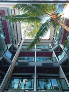 卡塔海滩Kata Noi Bay Inn的两棵棕榈树,在一座建筑前