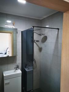 武科瓦尔Apartman Enio的带淋浴和盥洗盆的浴室