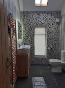 圣艾夫斯The Stables in St Ives的一间带卫生间和窗户的浴室
