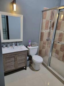 蒙特哥贝victory Luxury Suites的浴室配有卫生间、淋浴和盥洗盆。