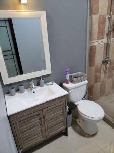 蒙特哥贝victory Luxury Suites的一间带卫生间、水槽和镜子的浴室