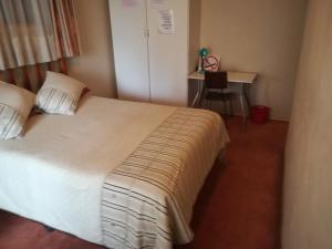 肯普顿帕克Pilot Inn Accommodation的配有一张床和一张书桌的酒店客房