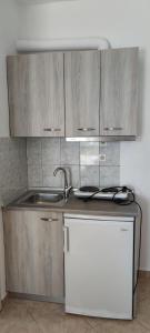 波托什Francesca Studios的厨房配有木制橱柜、水槽和冰箱。