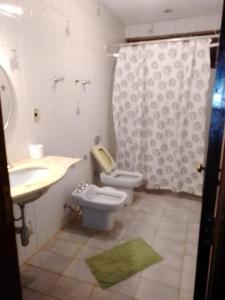 南蒙蒂阿莱格里Fazenda Água Clara的浴室配有卫生间、盥洗盆和淋浴。