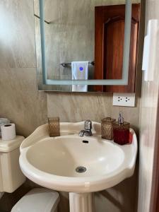 伊瓦拉Suite Los Sauces的一间带水槽、卫生间和镜子的浴室