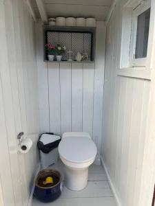 桑讷菲尤尔Familievennlig hytte ved populært badevann!的一间白色的小浴室,内设卫生间和窗户