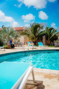 奥拉涅斯塔德RH Boutique Hotel Aruba的一个带椅子的游泳池,棕榈树