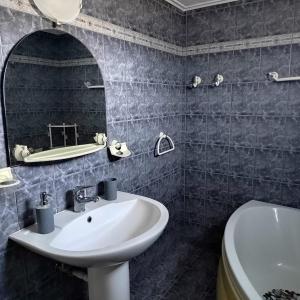 瓦西利卡Παραθαλάσσια εξοχική κατοικία的一间带水槽和镜子的浴室