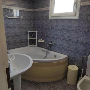 瓦西利卡Παραθαλάσσια εξοχική κατοικία的带浴缸和盥洗盆的浴室