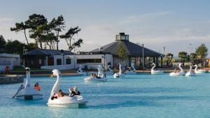 班戈北爱尔兰阿斯塔拉旅馆的一群人乘天鹅在水中骑行