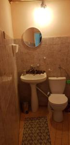 格但斯克BudgetStay in Gdańsk的一间带水槽、卫生间和镜子的浴室