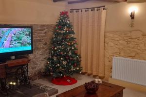 索尔塔什The Barn的客厅里的圣诞树,配有电视
